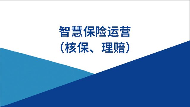 项目名称