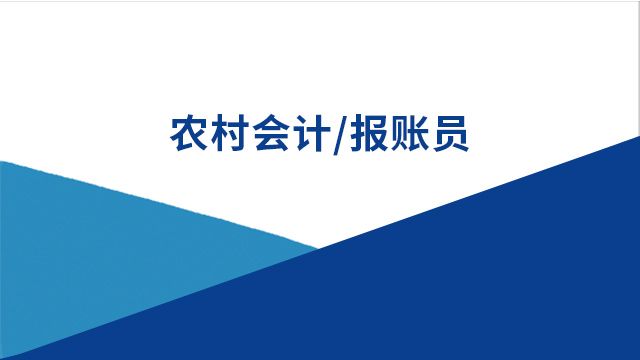 项目名称