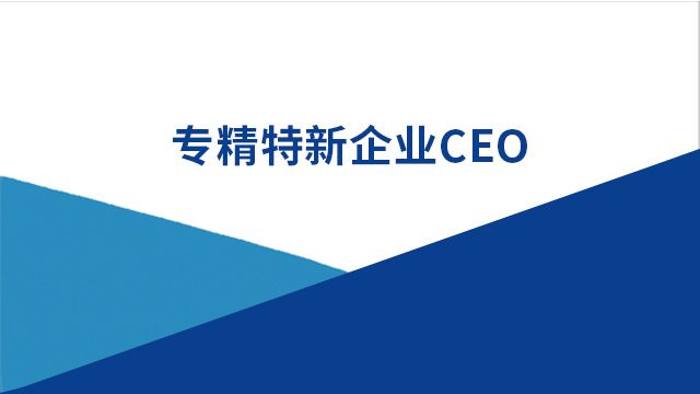 项目名称