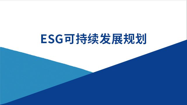 项目名称